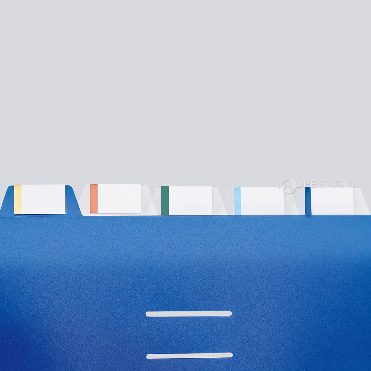 分類・整理に便利なインデックスシール付き 