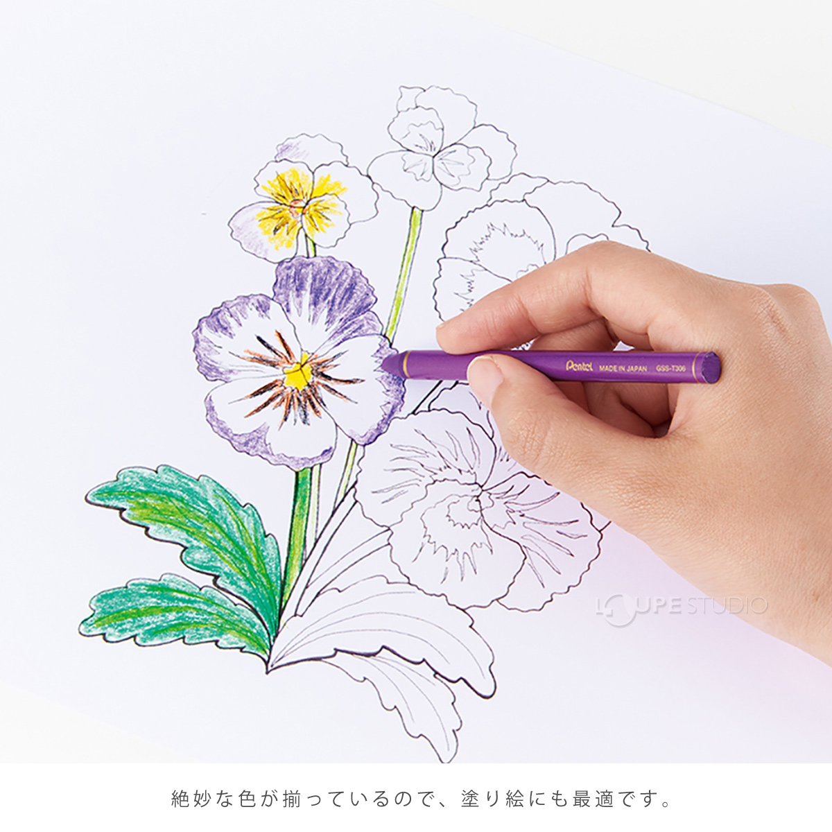 塗り絵にも最適 