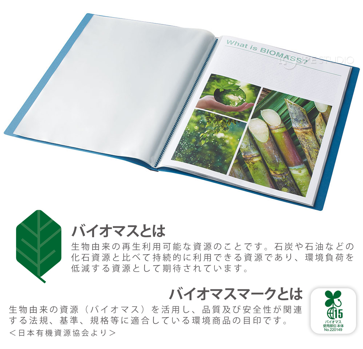 バイオマスとは 