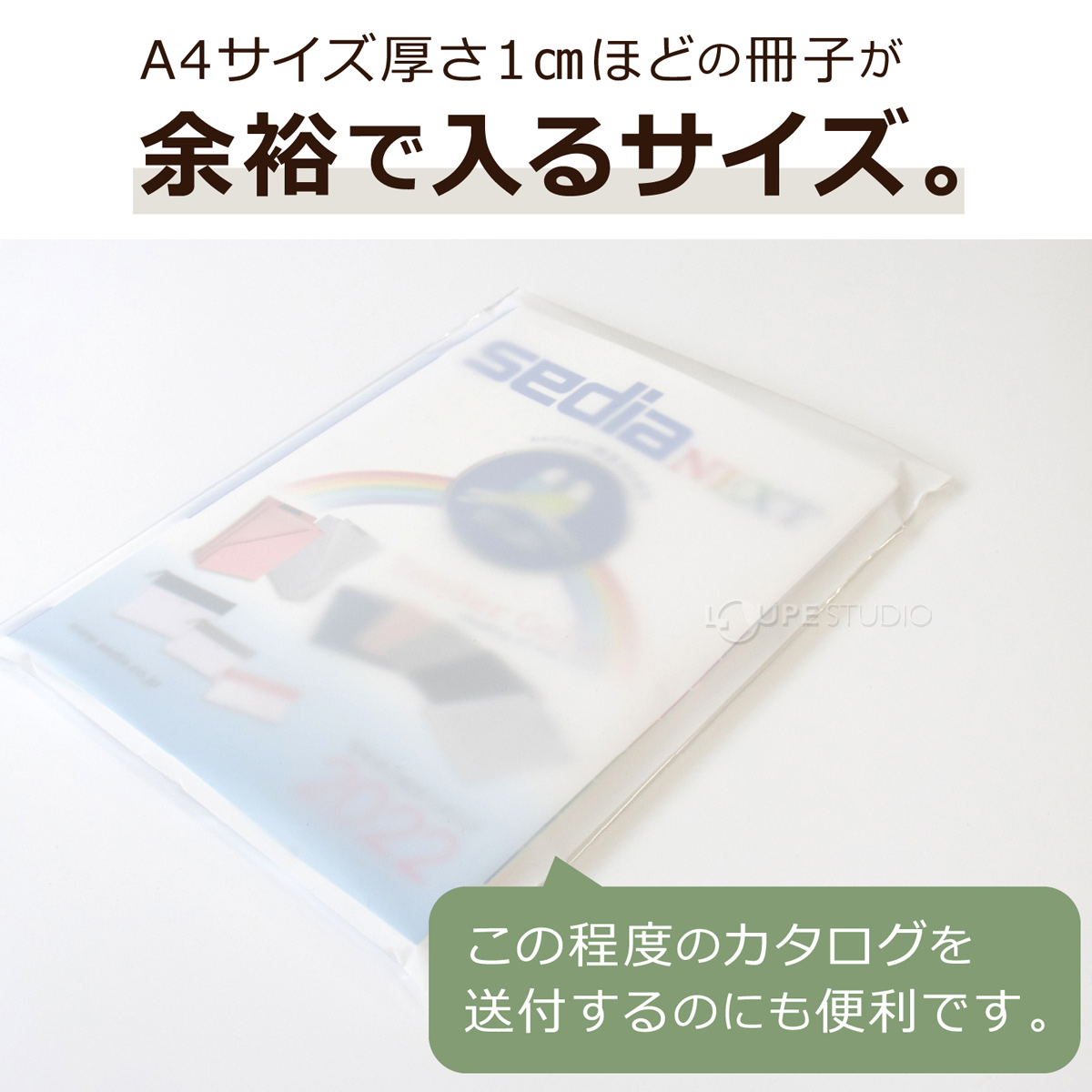 余裕で入るサイズ 