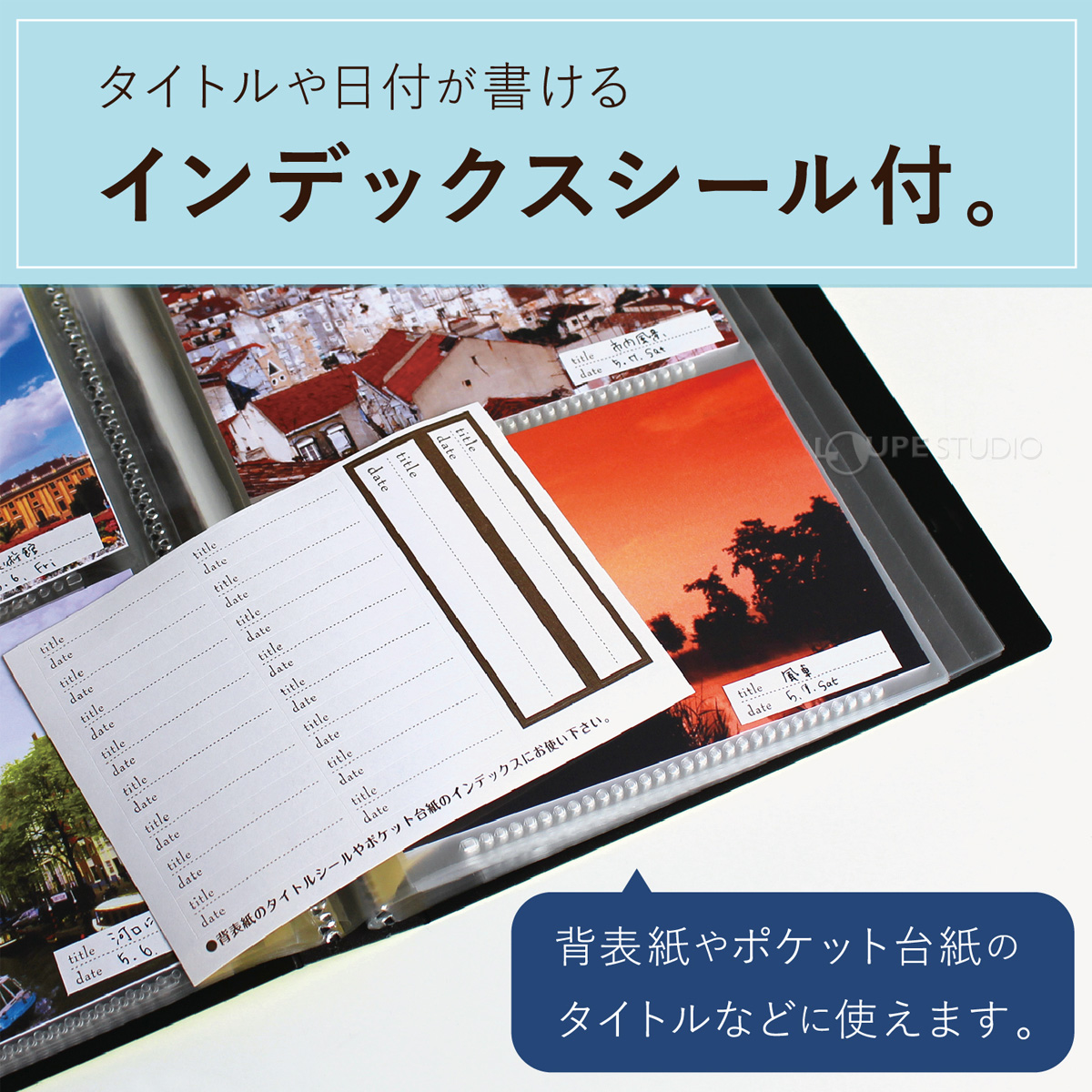 インデックスシール付 