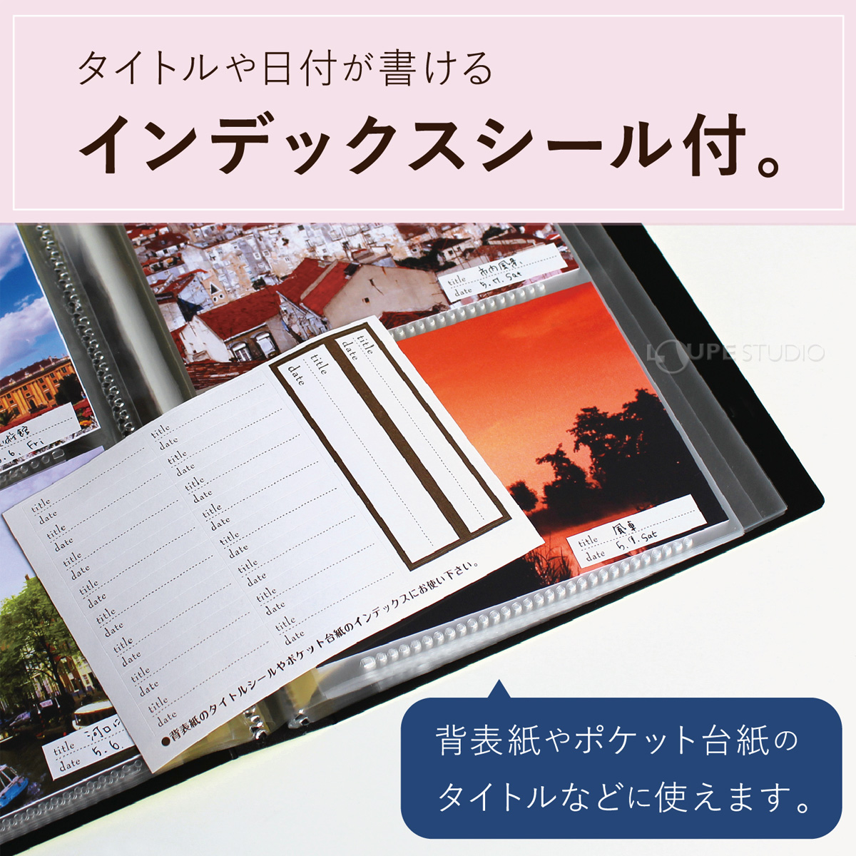 インデックスシール付 