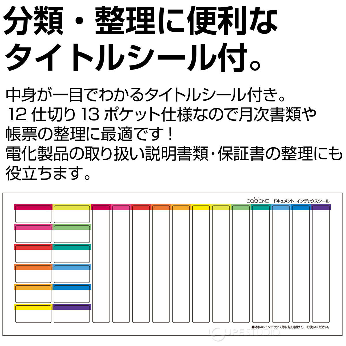 分類・整理に便利なタイトルシール付 