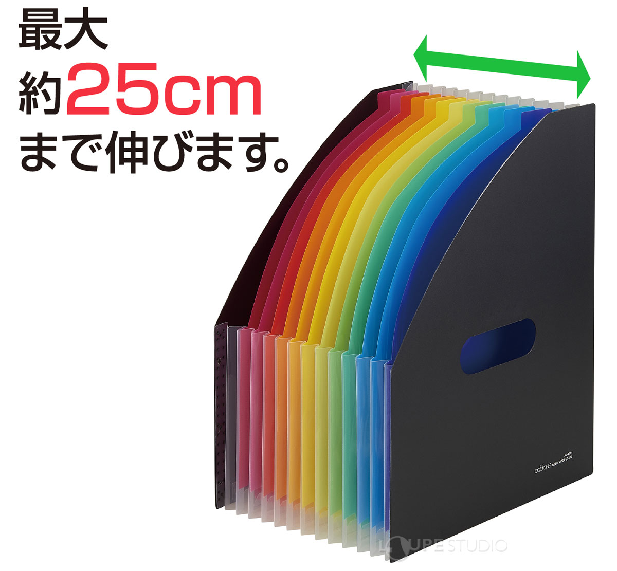 最大約25cmまで伸びます 