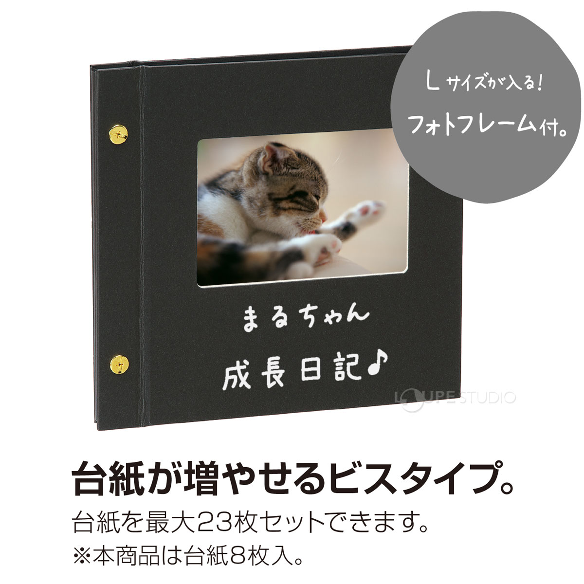 台紙が増やせるビスタイプ