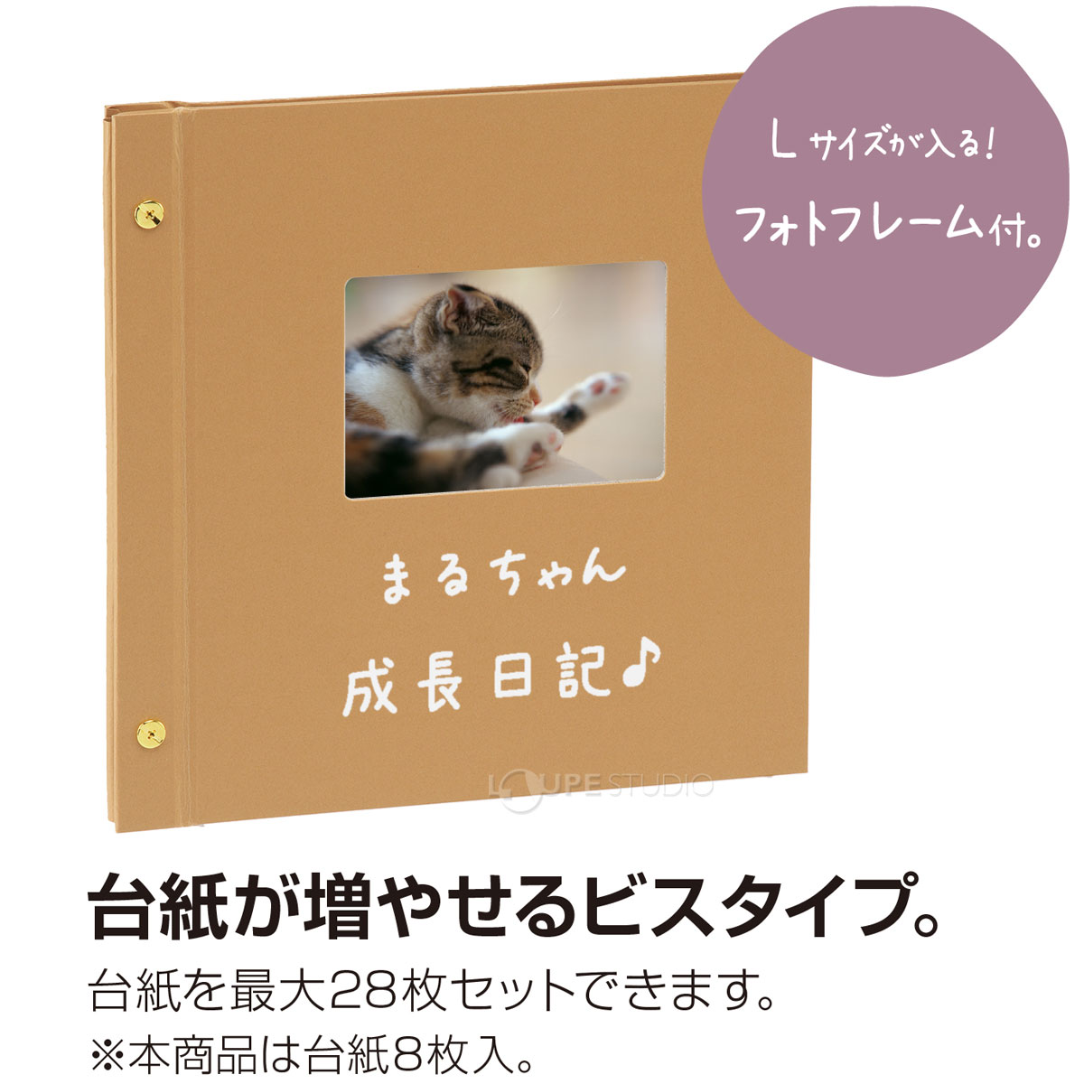 台紙が増やせるビスタイプ
