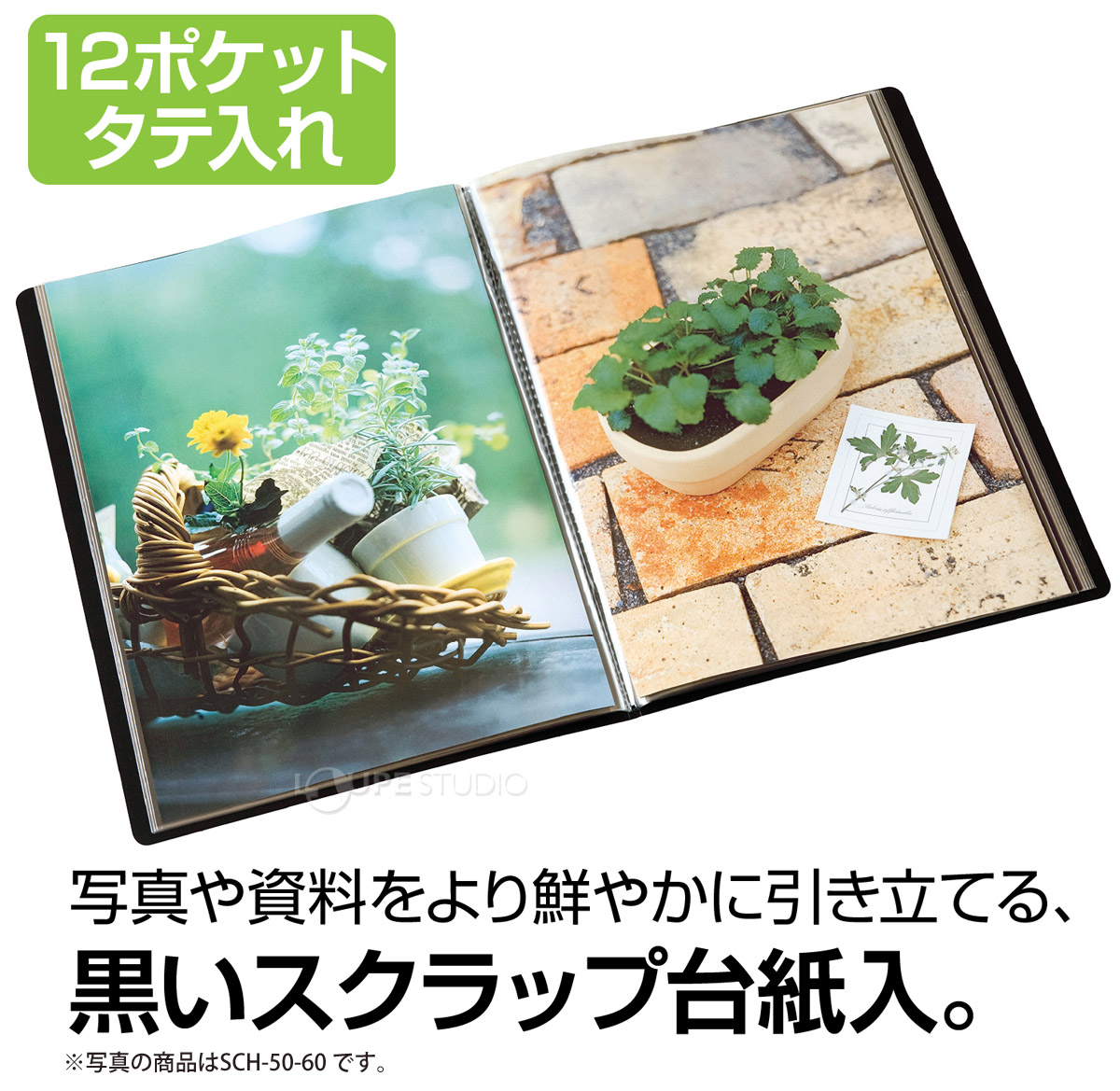 12ポケットタテ入れ