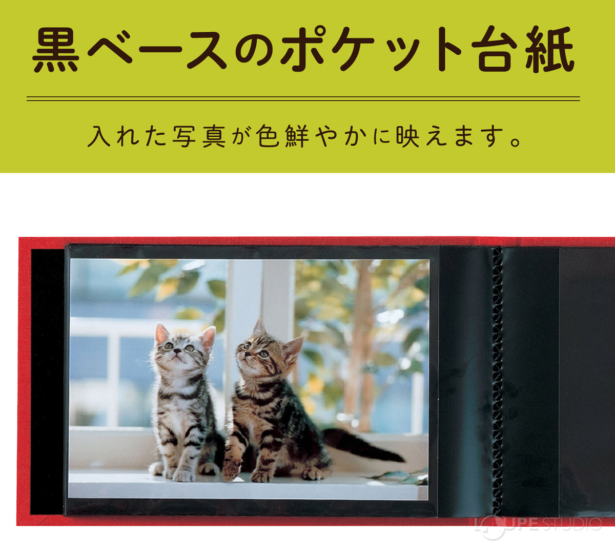 黒ベースのポケット台紙 