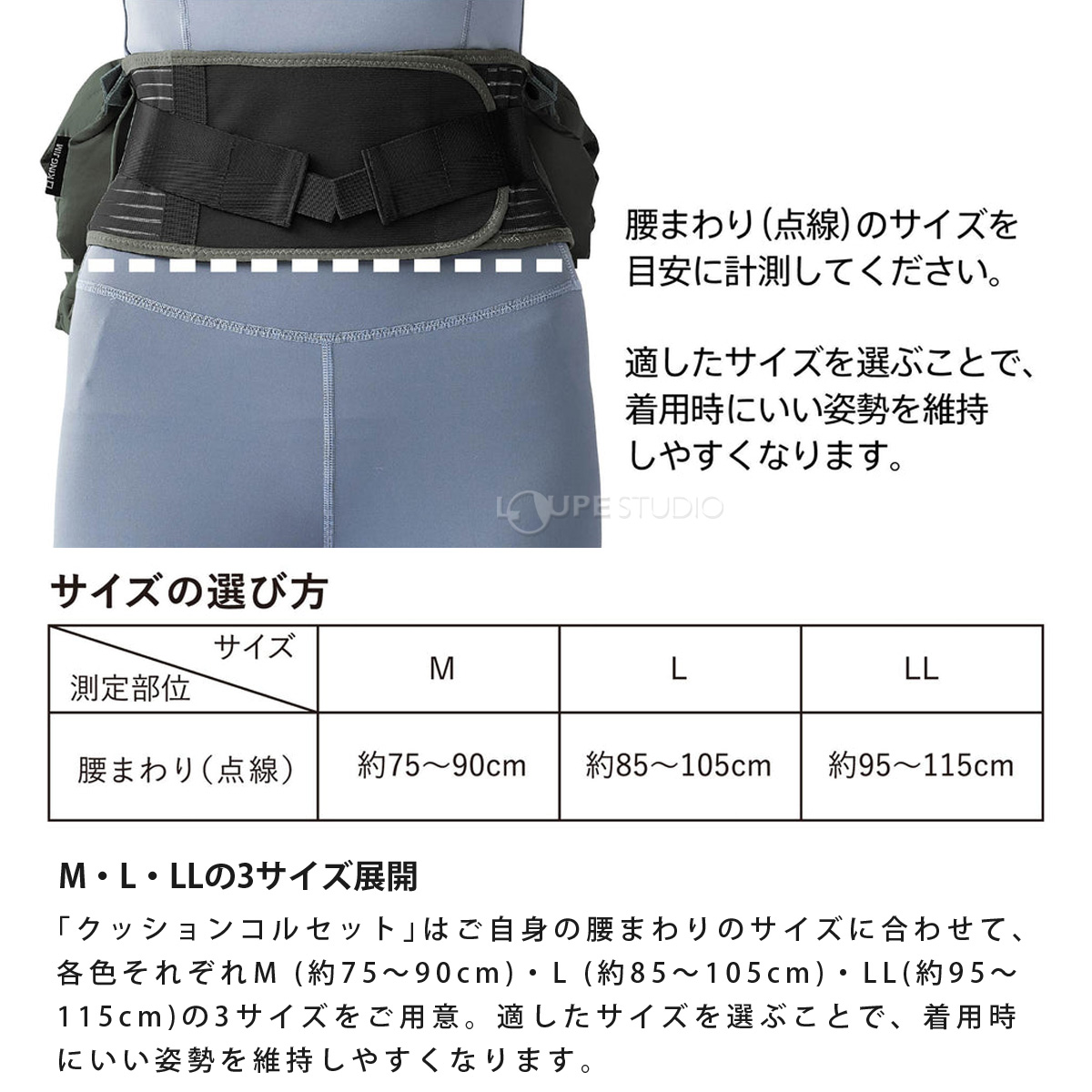3サイズ展開 