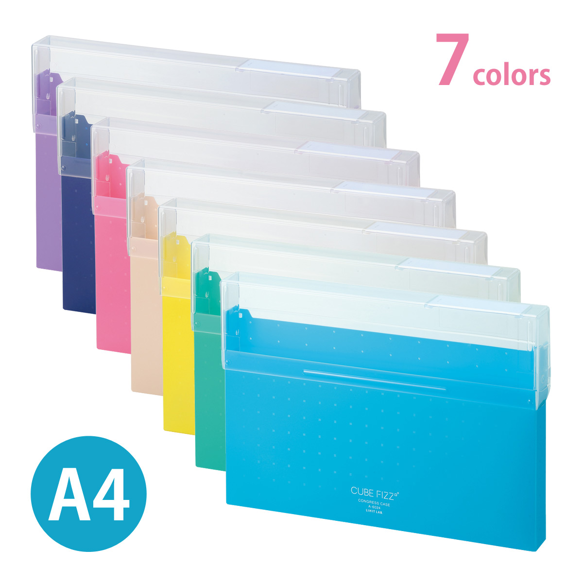 ファイル ケース A4 具 書類 資料 プリント 小物 収納 整理 仕分け 事務用品 オフィス 学校 コングレスケース 文具 文房具 リヒトラブ