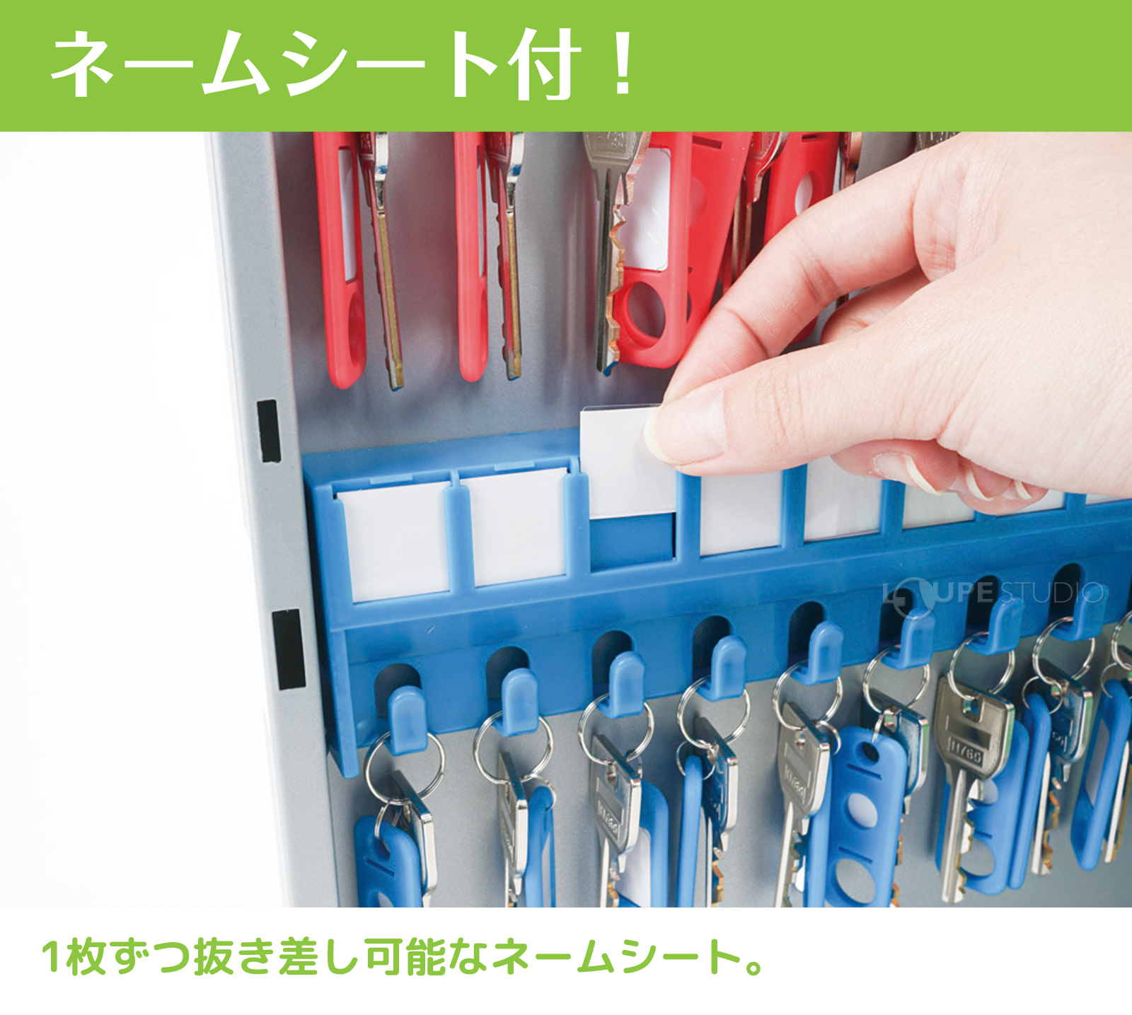 ネームシート付き 