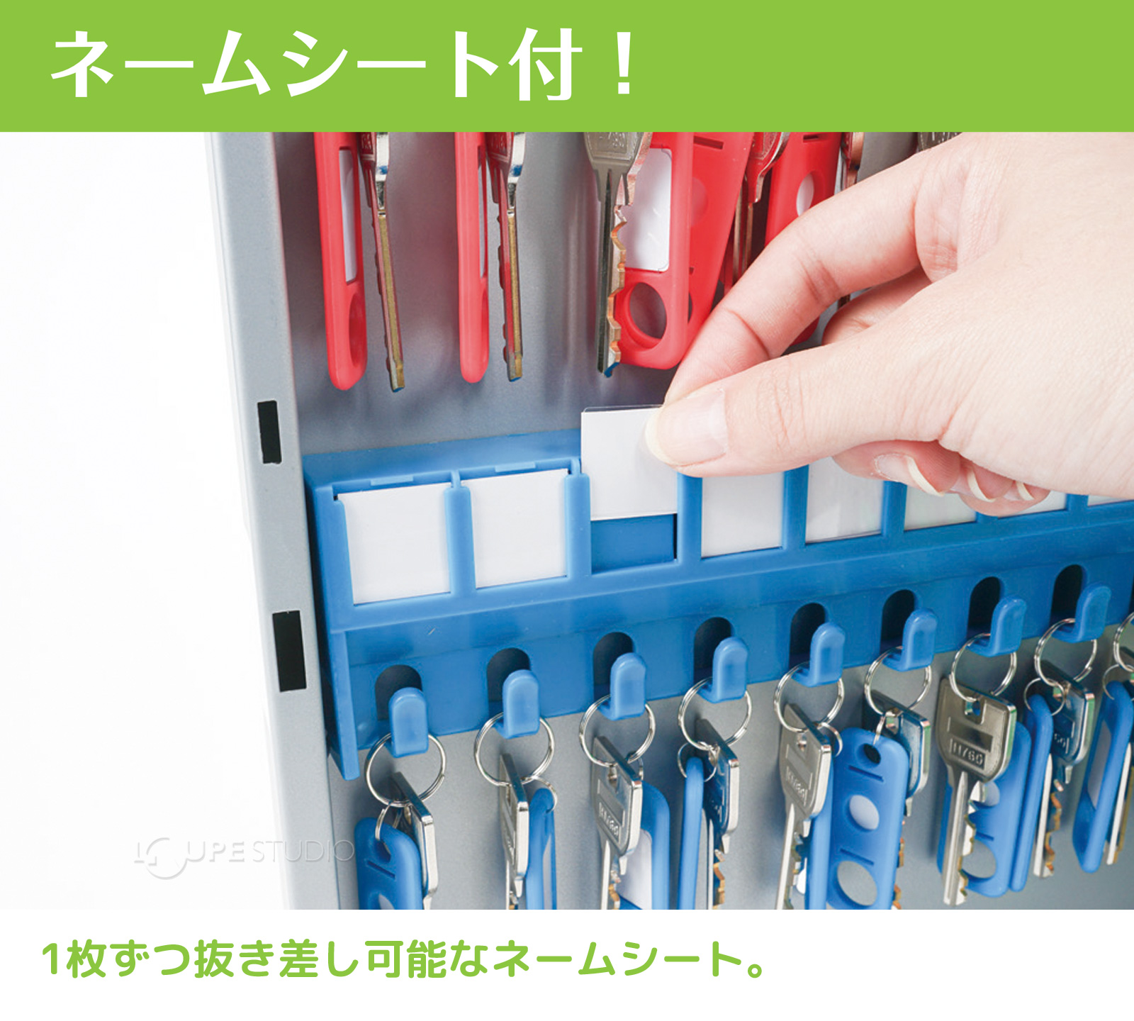 ネームシート付き