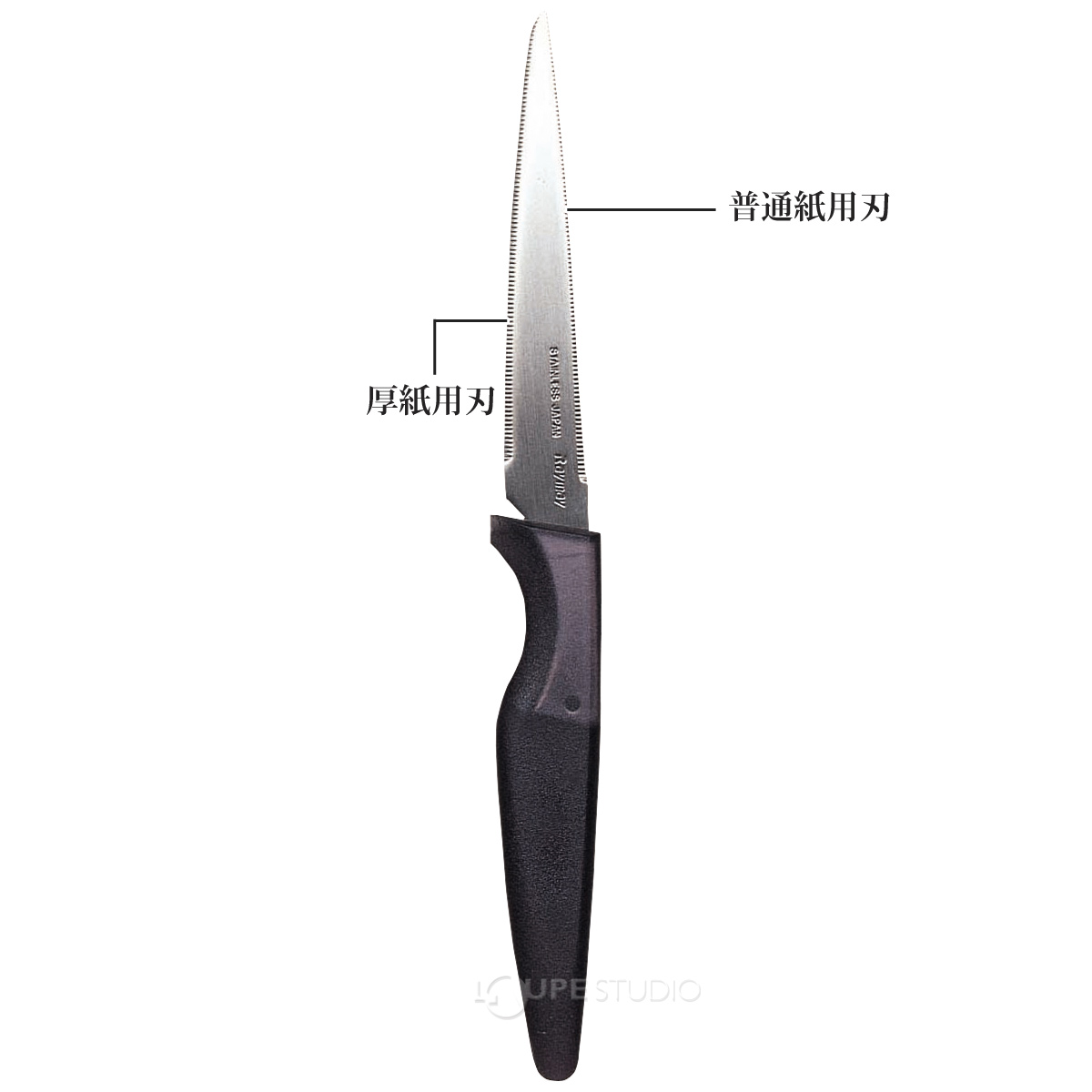 本体 