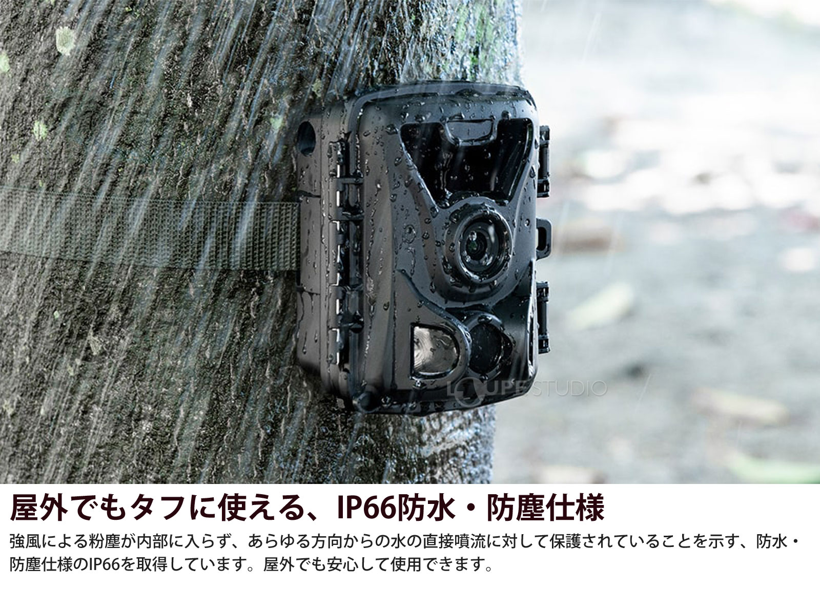 屋外でもタフに使える、IP66防水・防塵仕様 