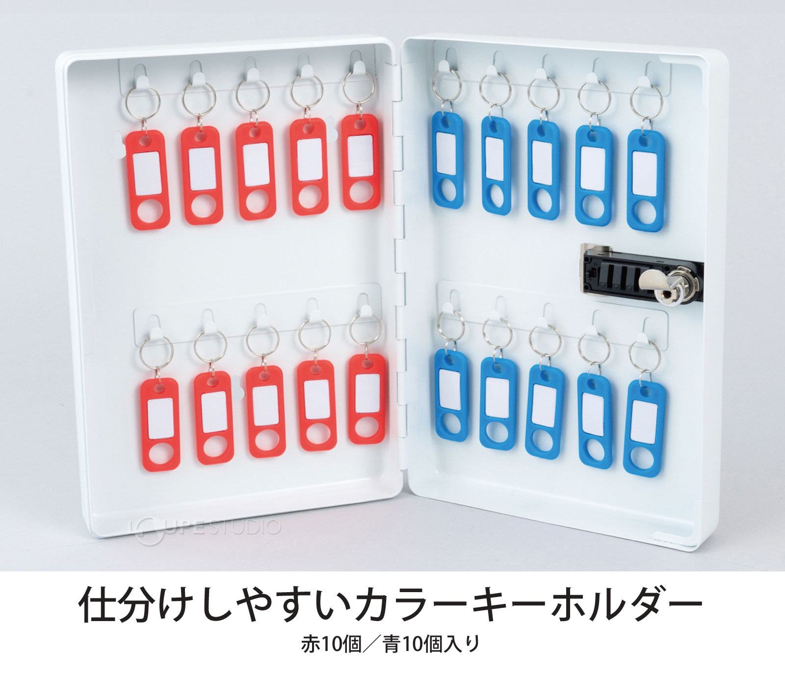 仕分けしやすいカラーキーホルダー 