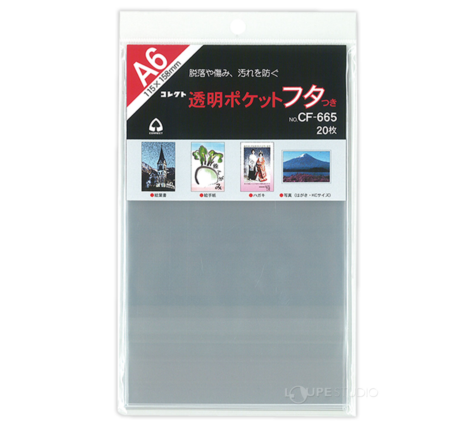 本体 