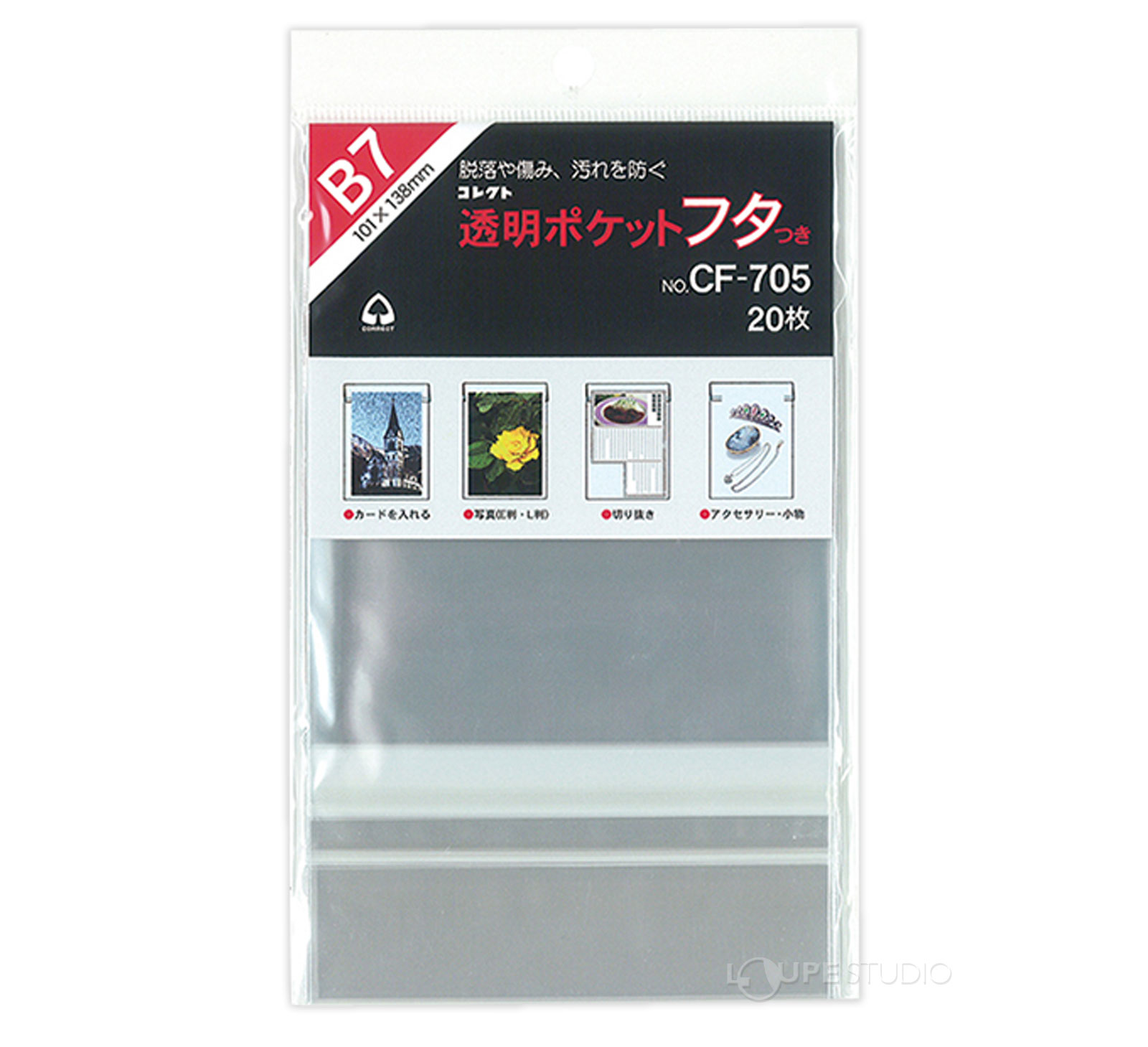本体 