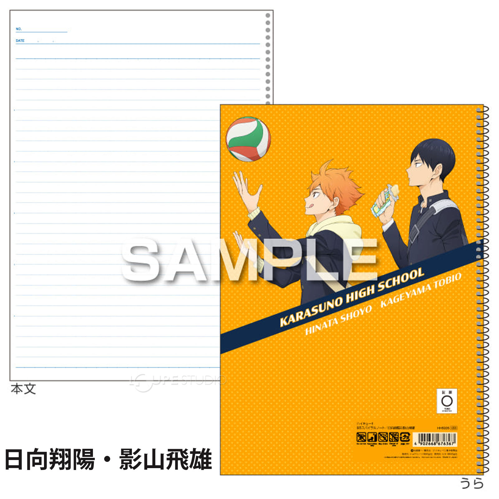 日向翔陽・影山飛雄 