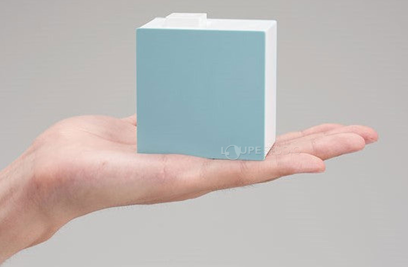 手のひらサイズ