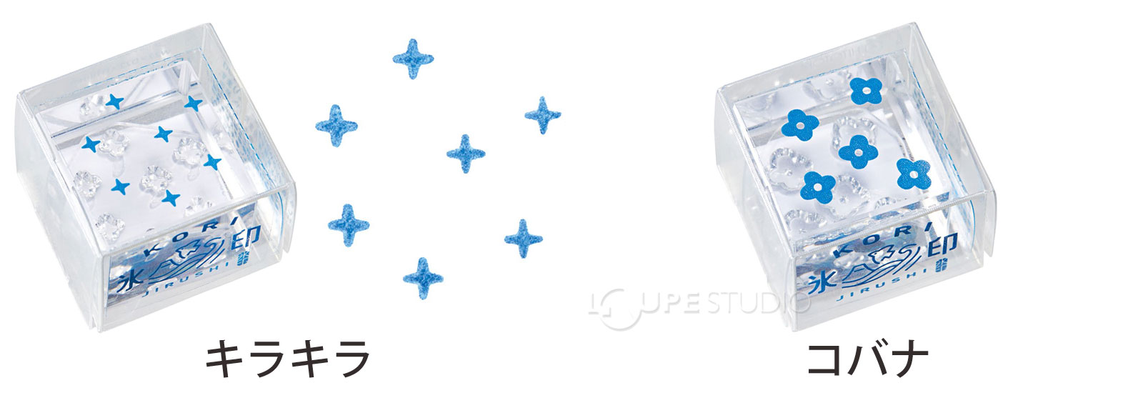 キラキラ&コバナ