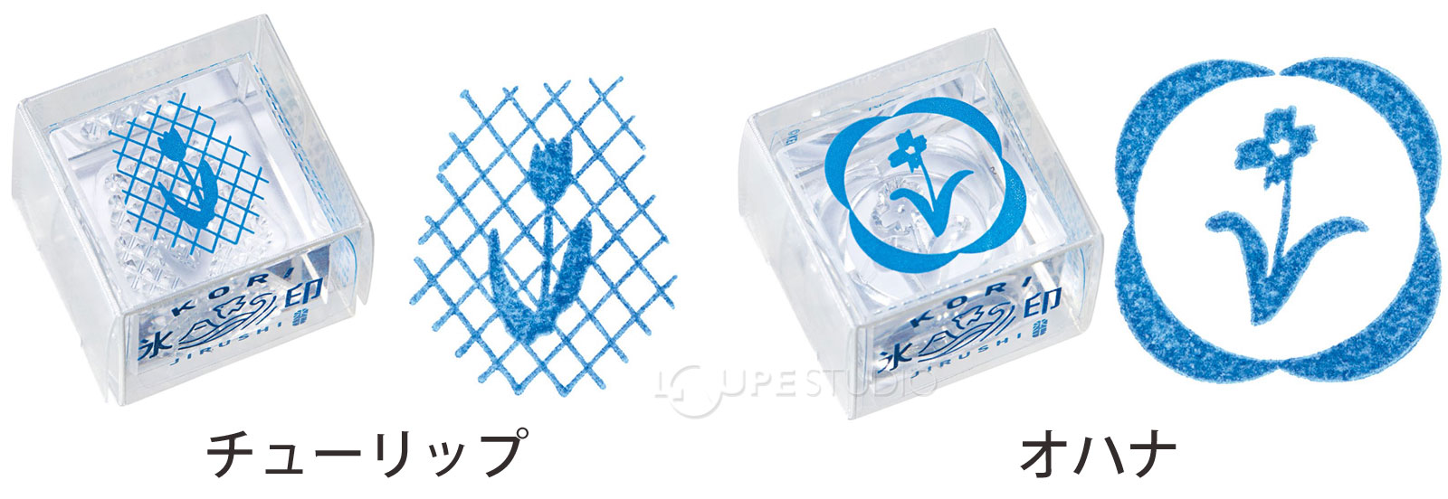 チューリップ&オハナ