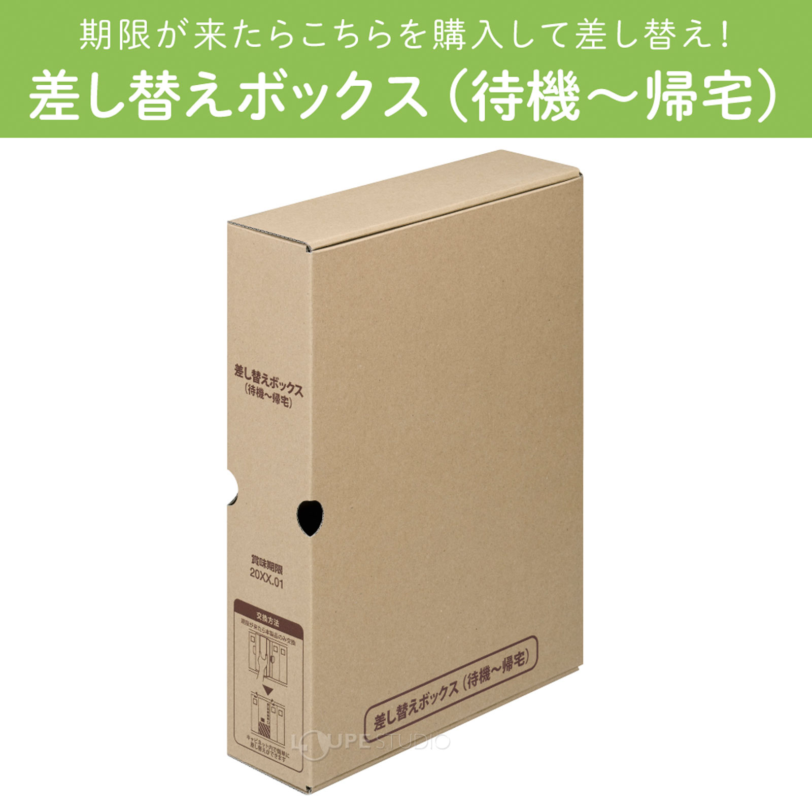 本体 