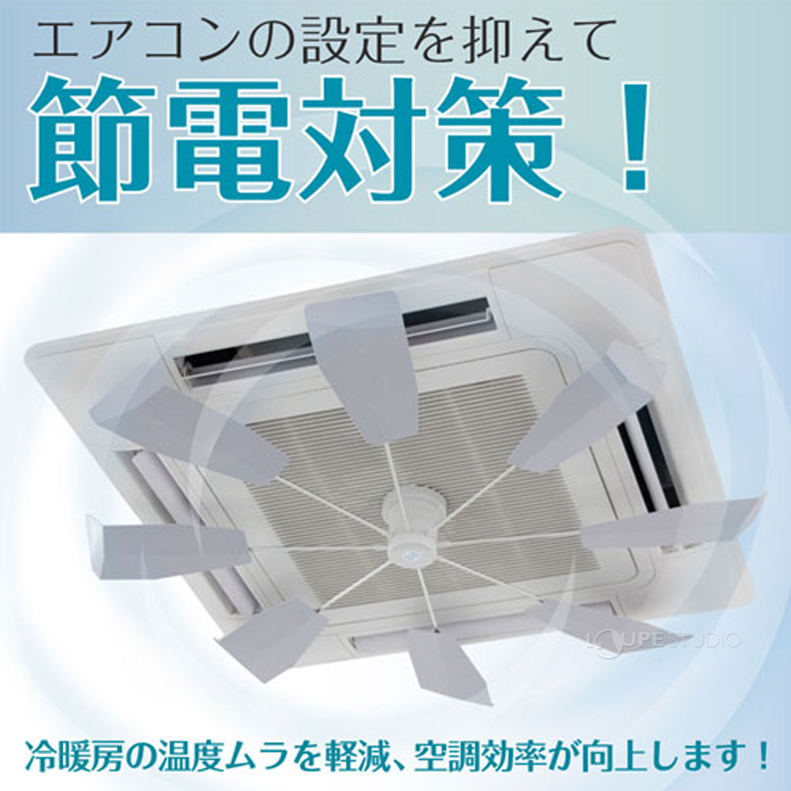 本体 