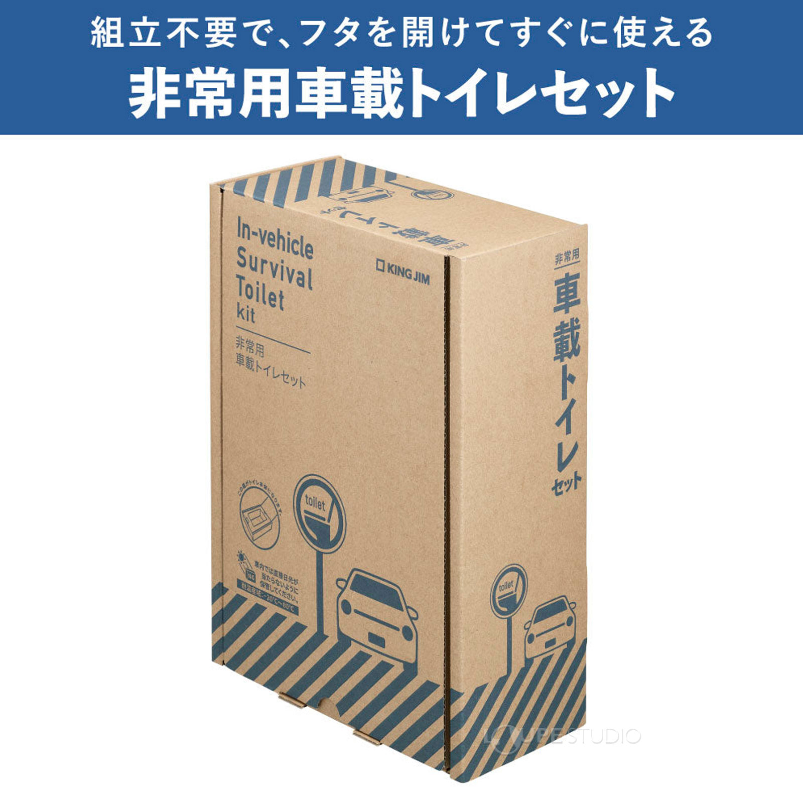 本体 
