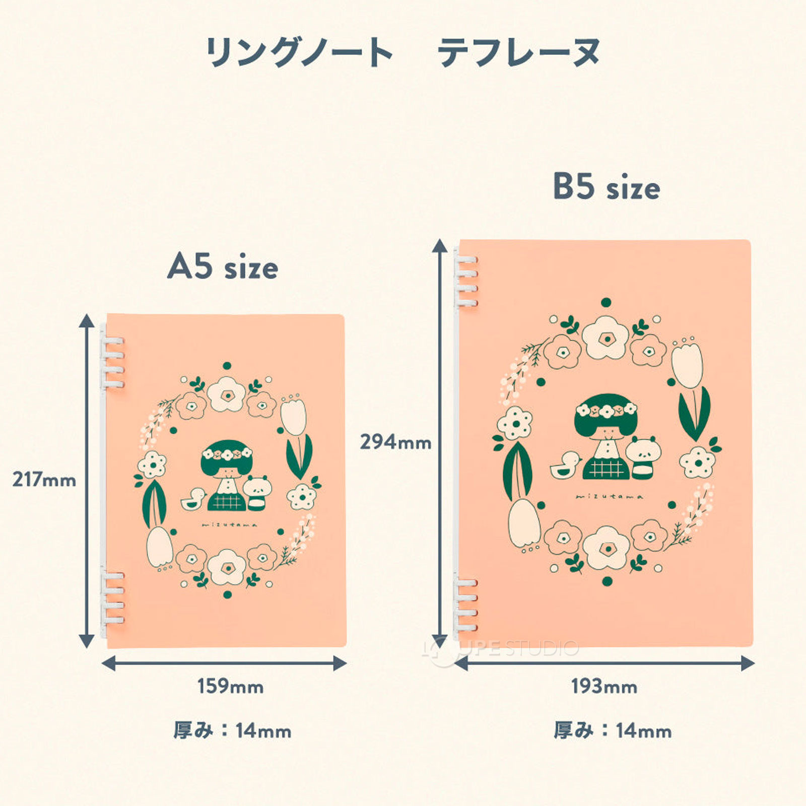 サイズ 