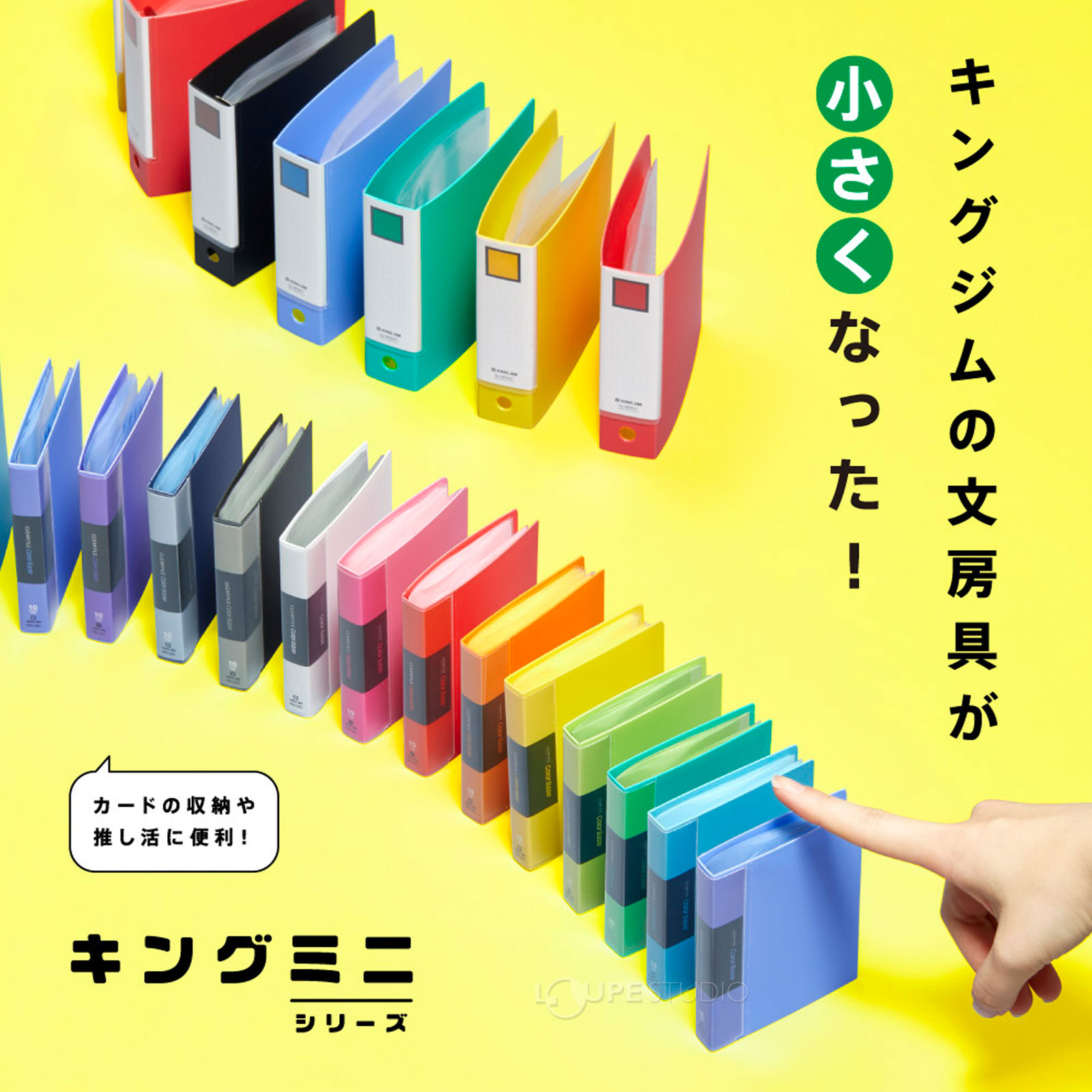 本体