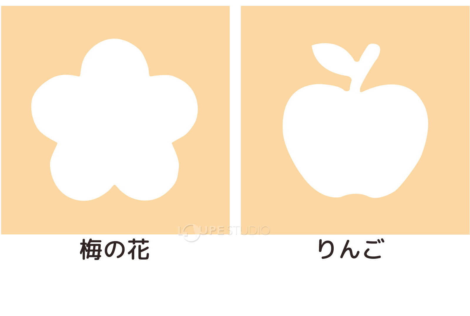 梅の花&りんご 