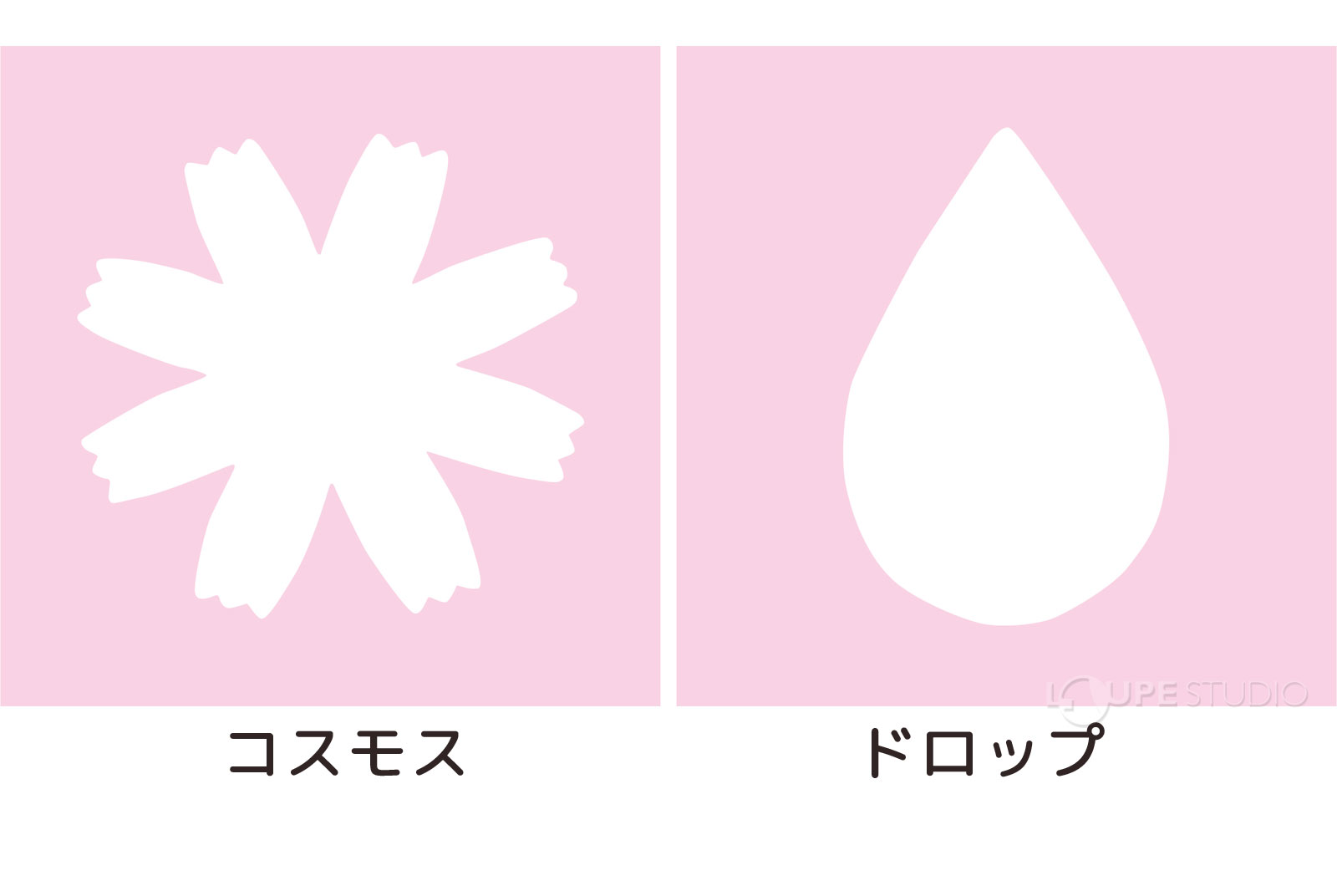 コスモス&ドロップ 