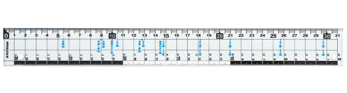 31cm 
