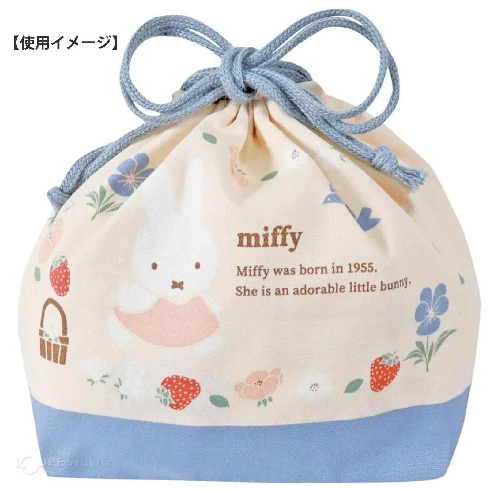 使用イメージ 