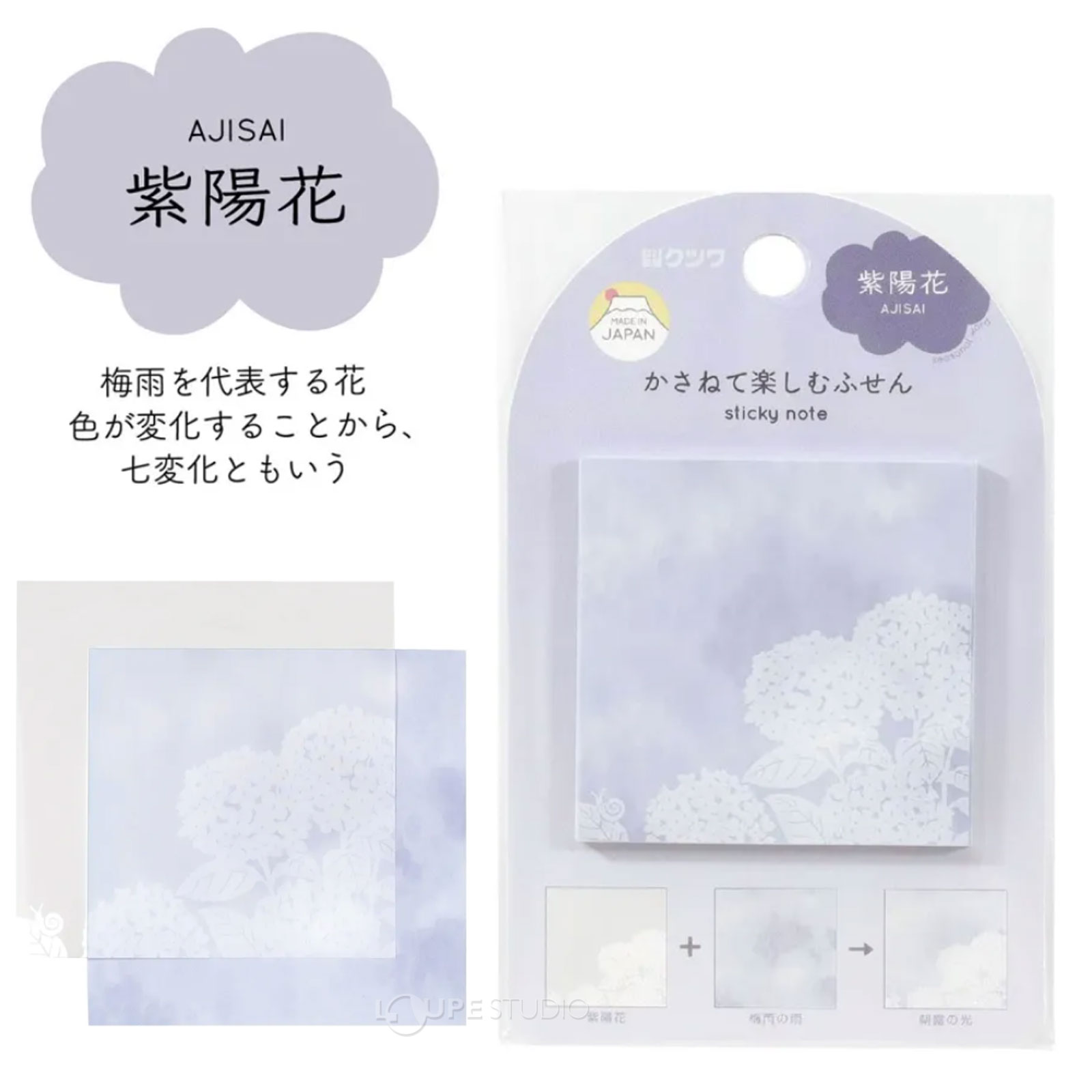 紫陽花 