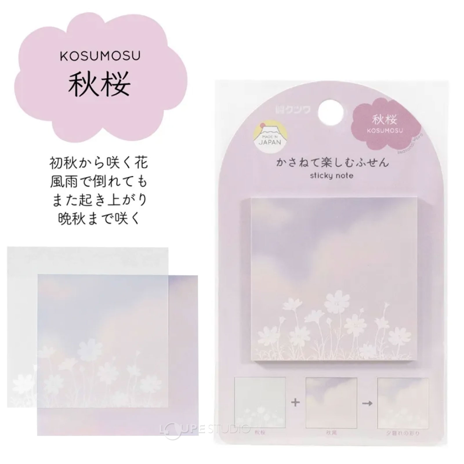 秋桜 