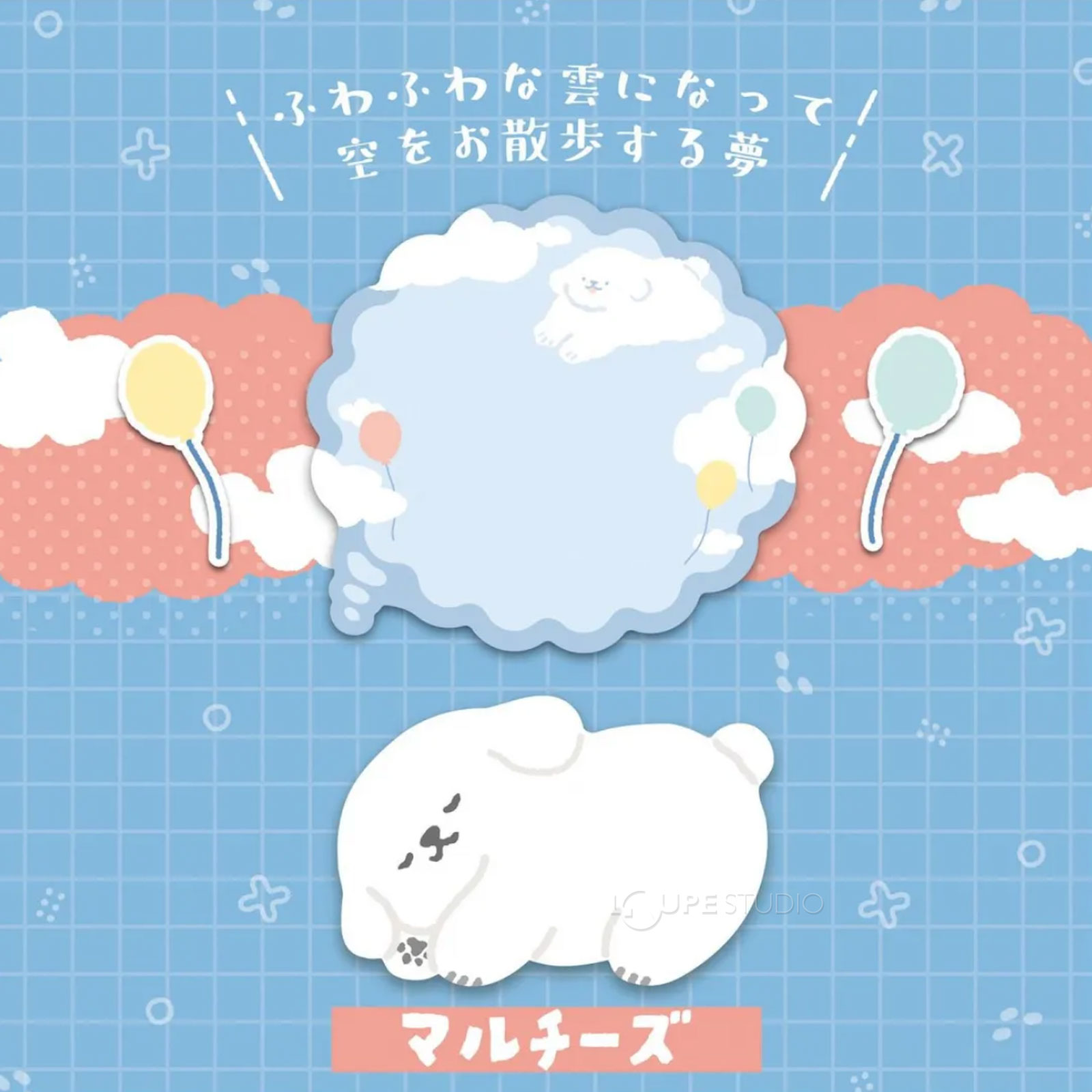 マルチーズ 