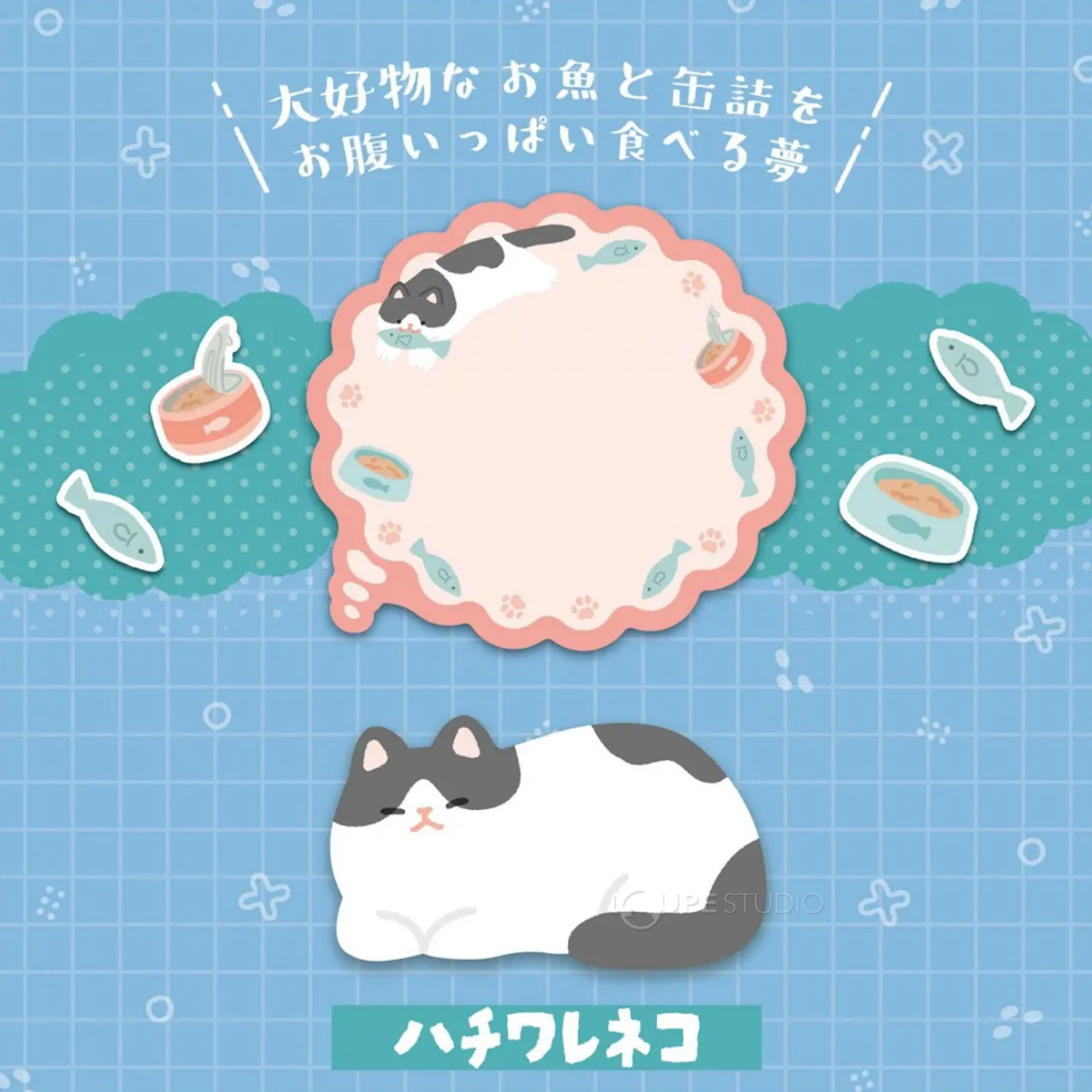 ハチワレネコ 