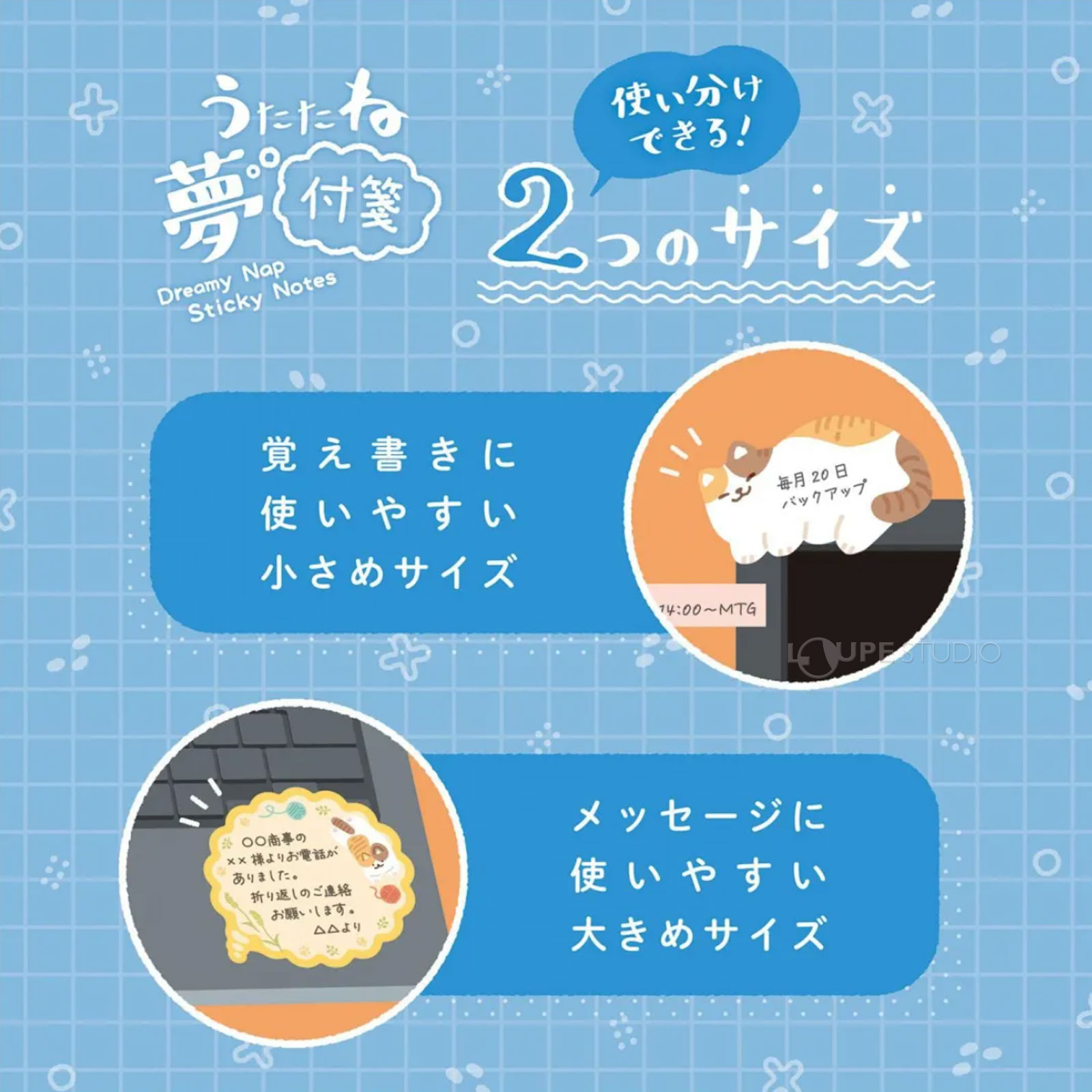 二つのサイズ 