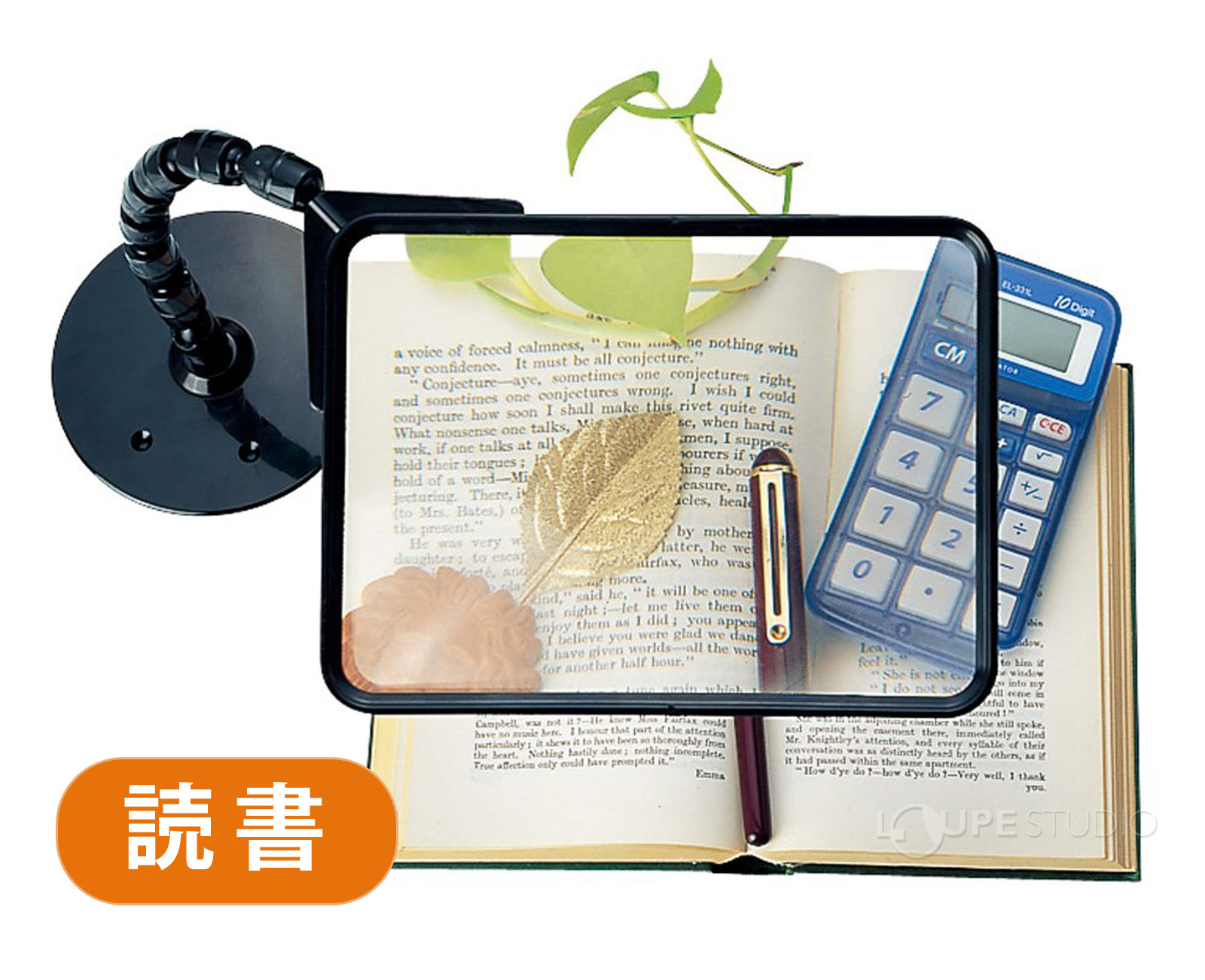 読書 
