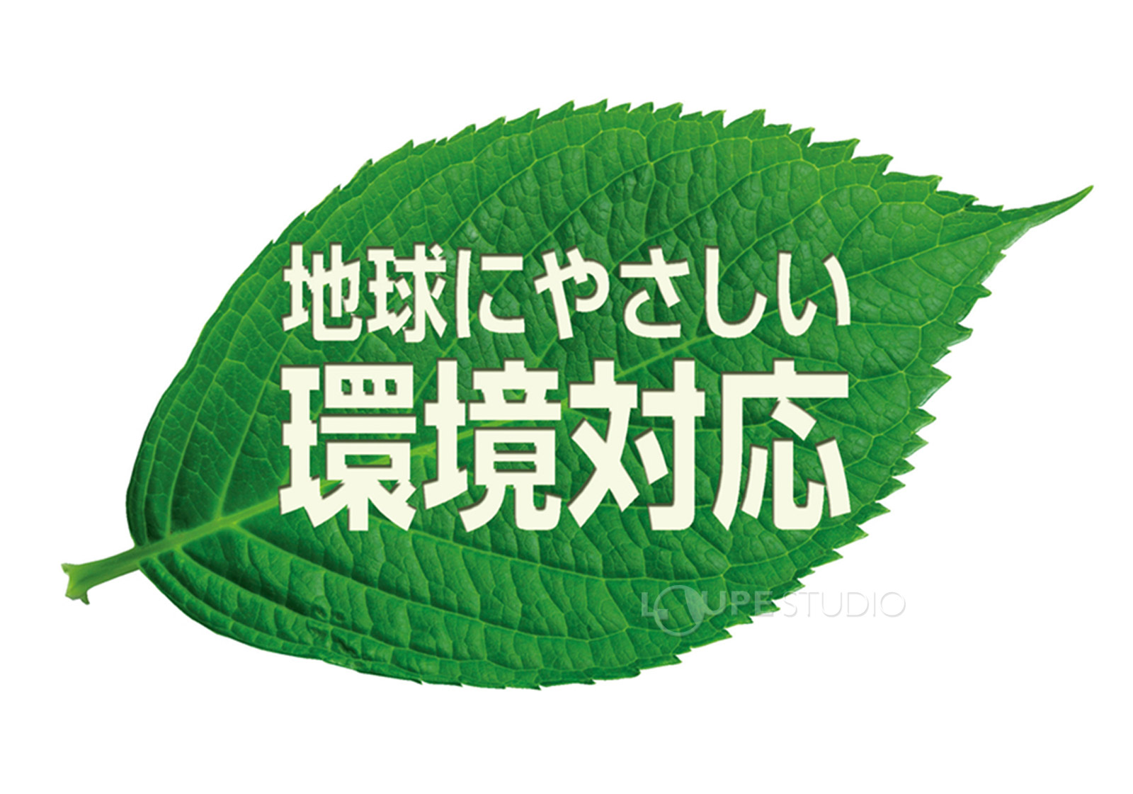 地球にやさしい環境対応 