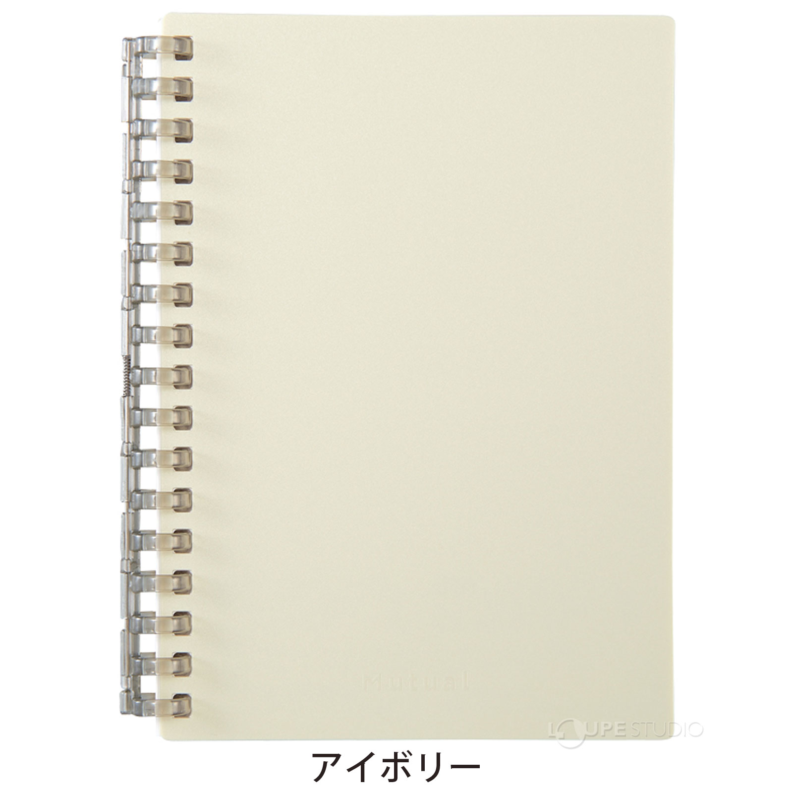 アイボリー 