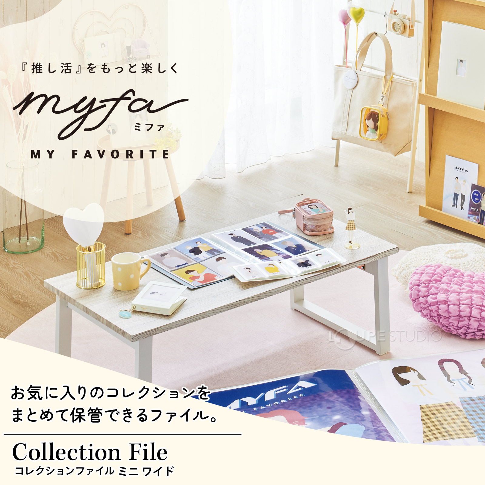 コレクションファイルミニ ワイド 