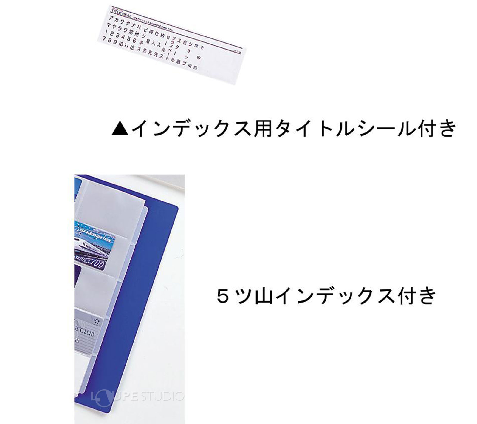 インデックス用タイトルシール付 