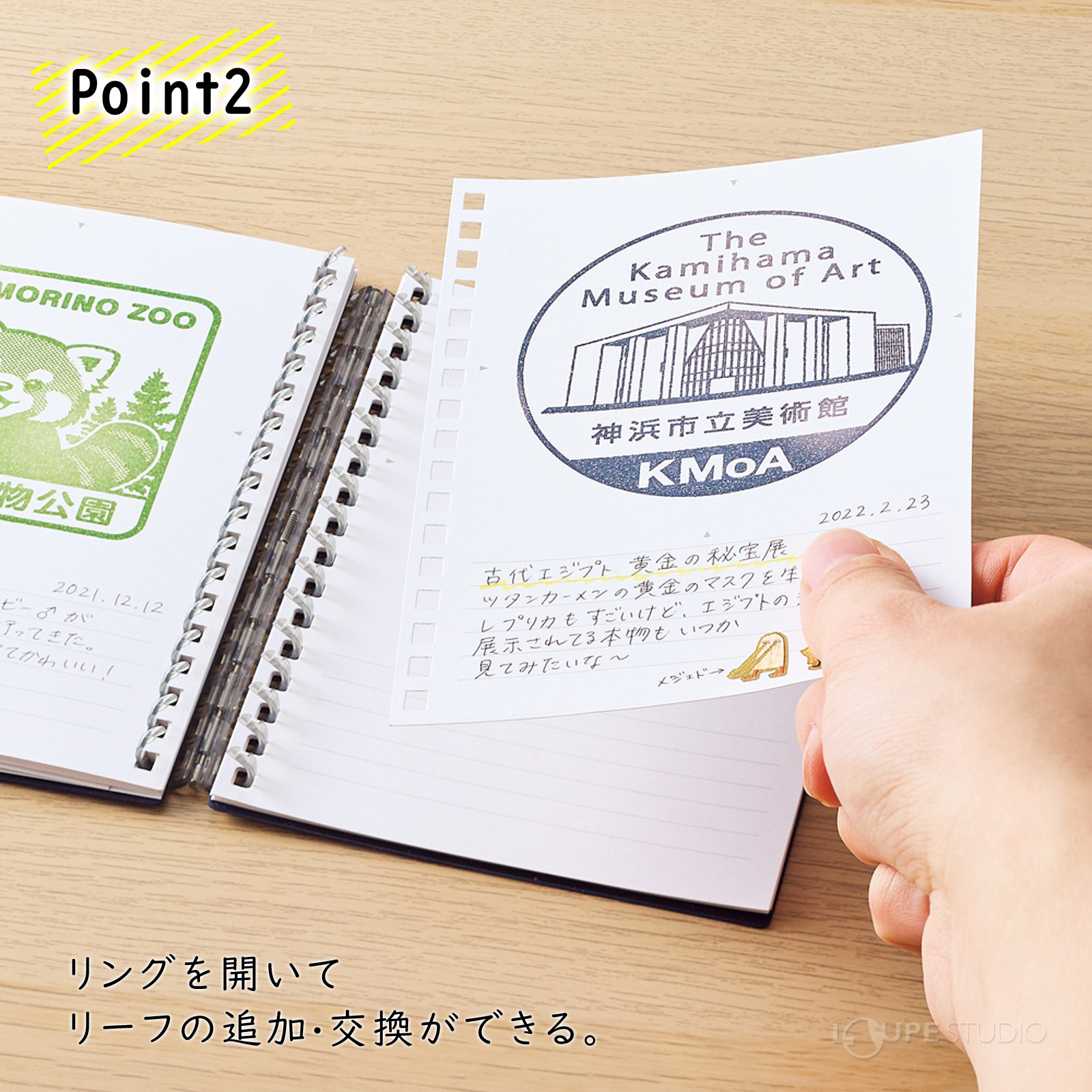 ポイント 