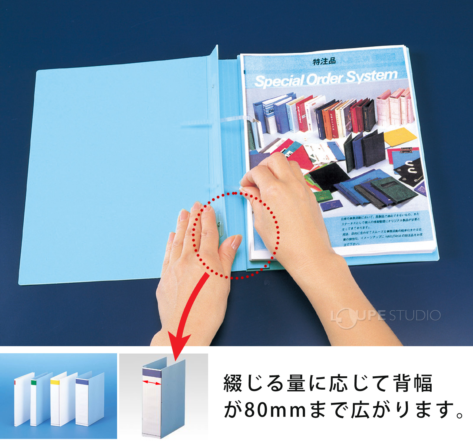 背見出しシート 