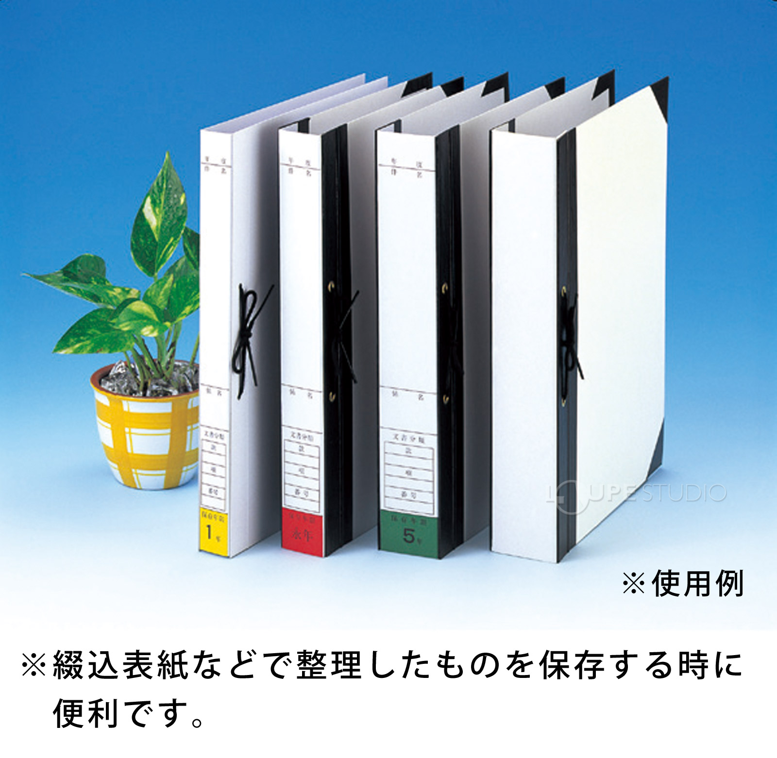 背表紙 A4判 HS-48 ひもとじタイプ 2穴 背幅80mm 20枚入 美濃商会 文具