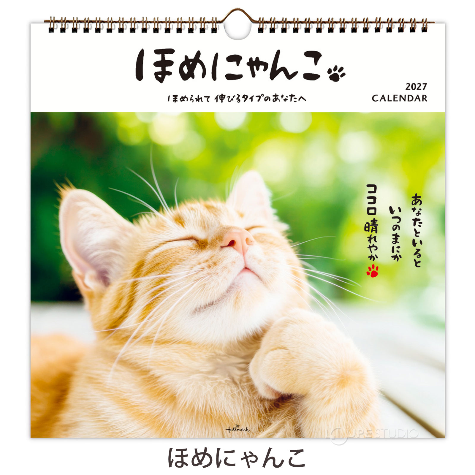 ほめにゃんこ 