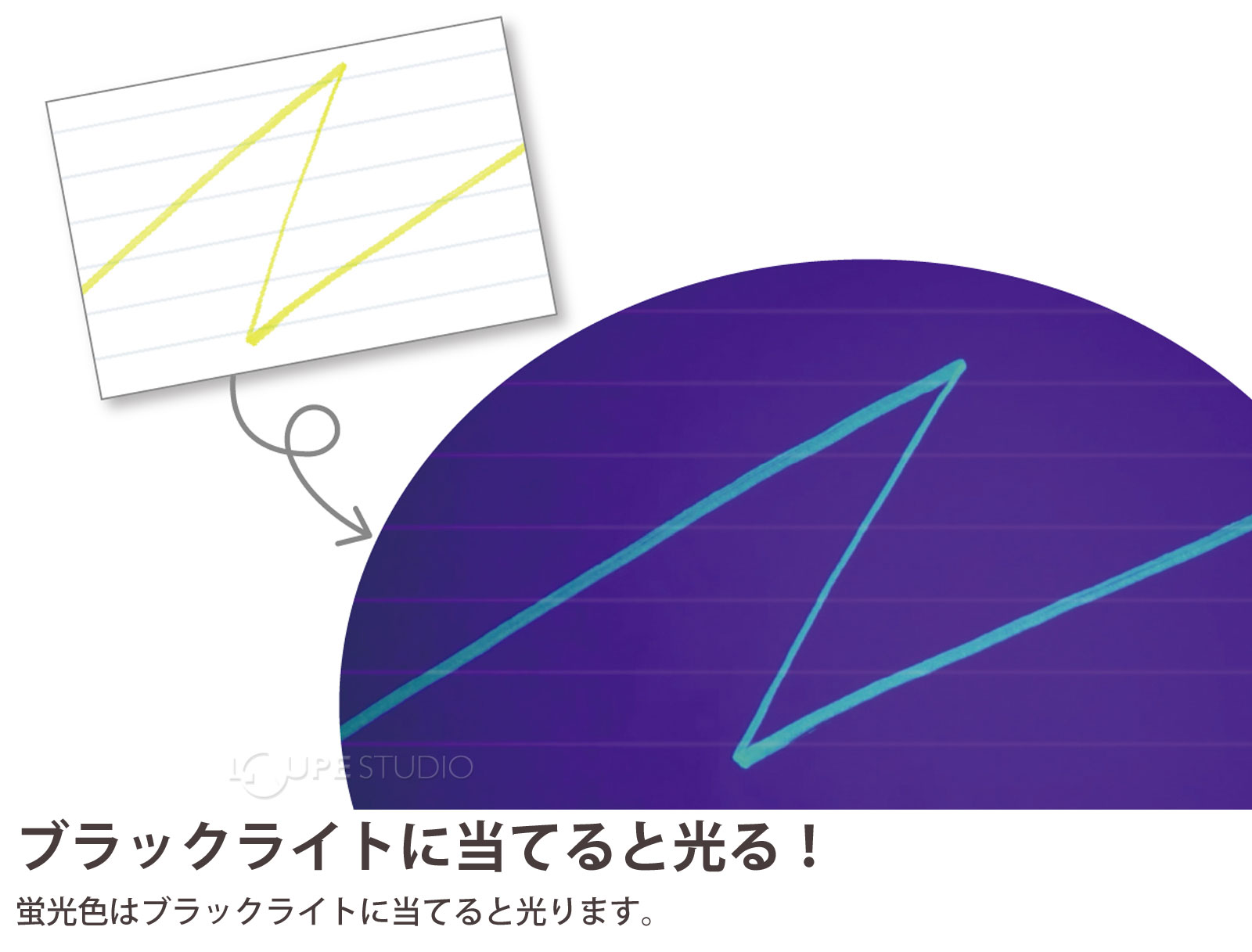 ブラックライトに当てると光る! 