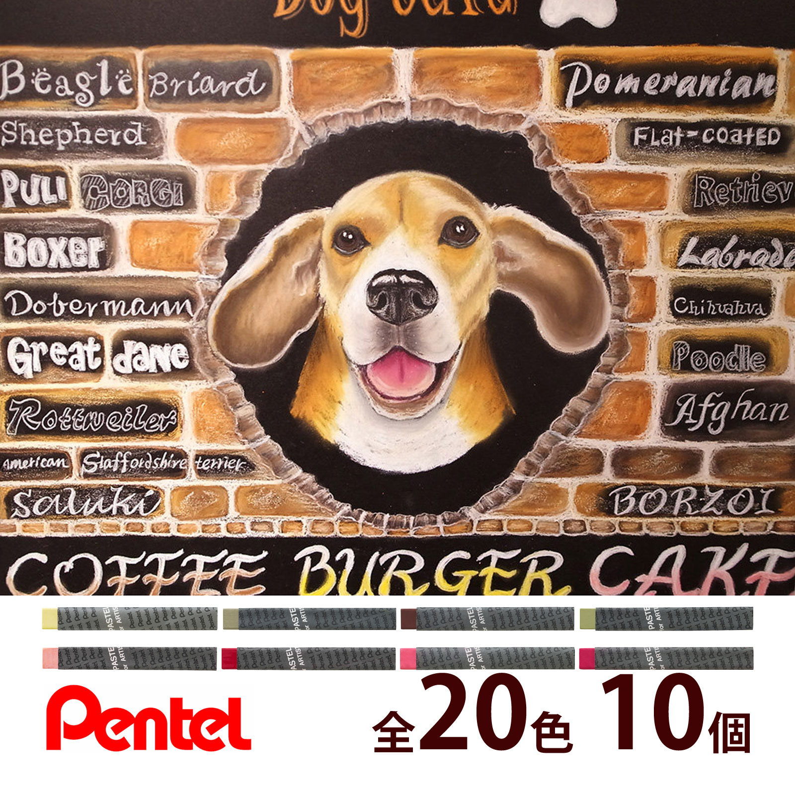 専門家用パス 10本単位